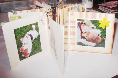 my  dog mini scrapbook 